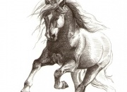 hobune-2