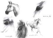 hobune-detailid